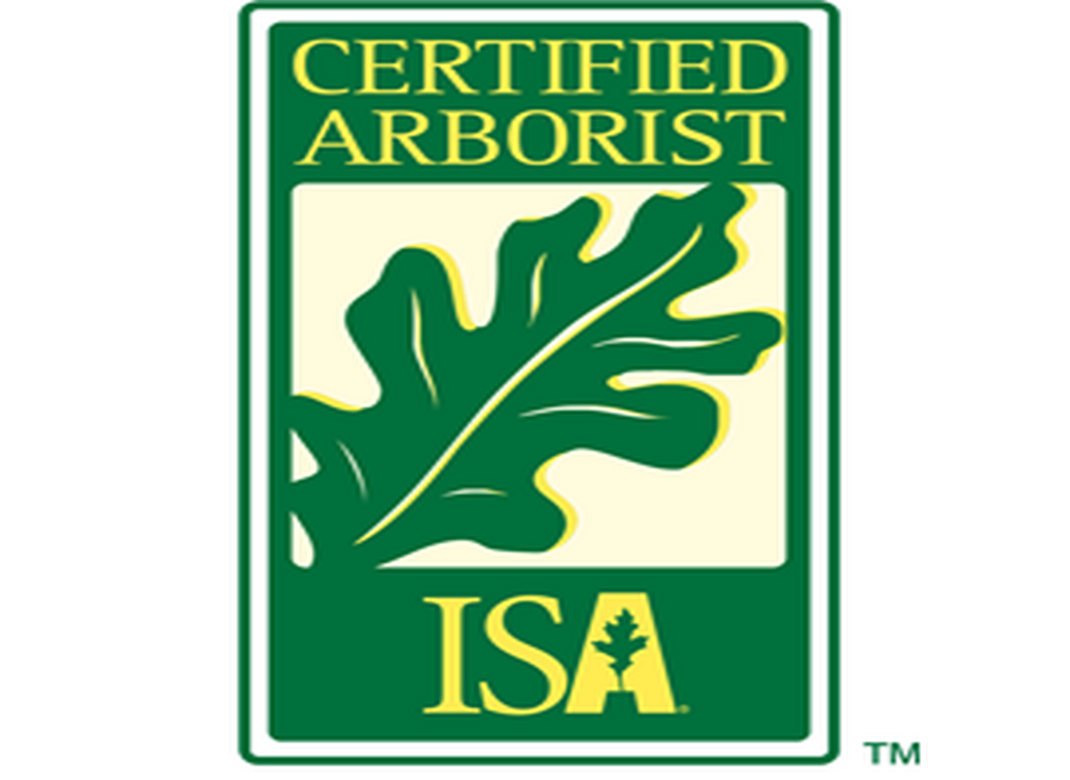 isa logo