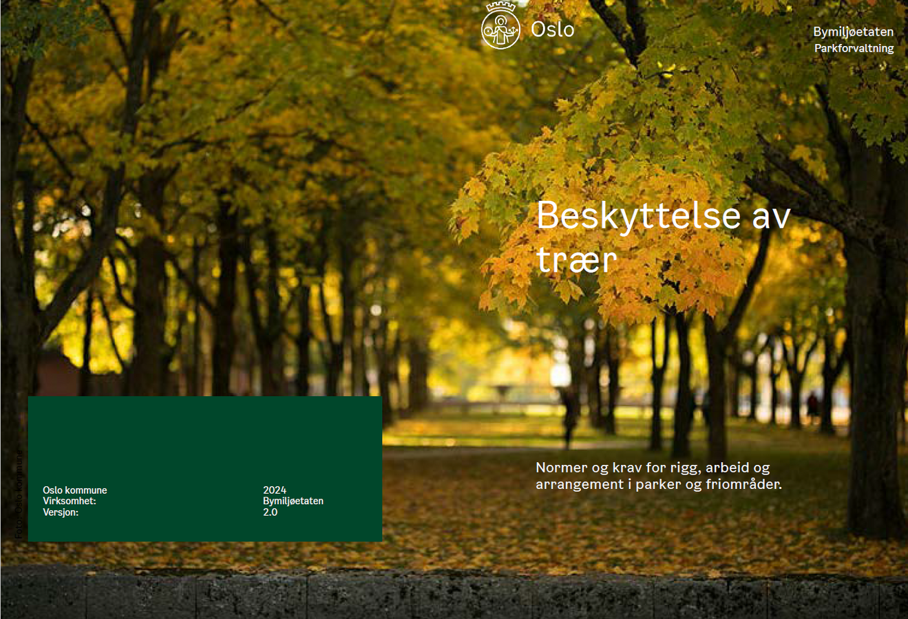 Forsidebilde av dokumentet